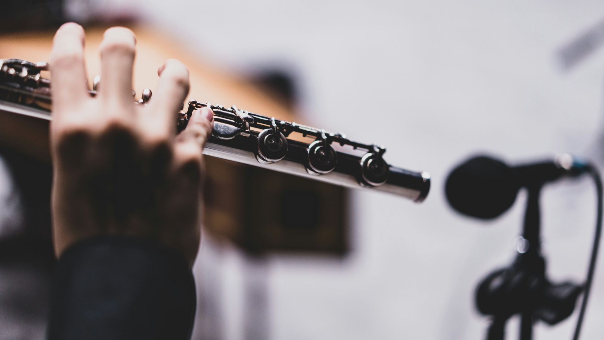 Kultura-fluraš-StefanRadovanović