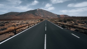 Švedski model _ slika 3