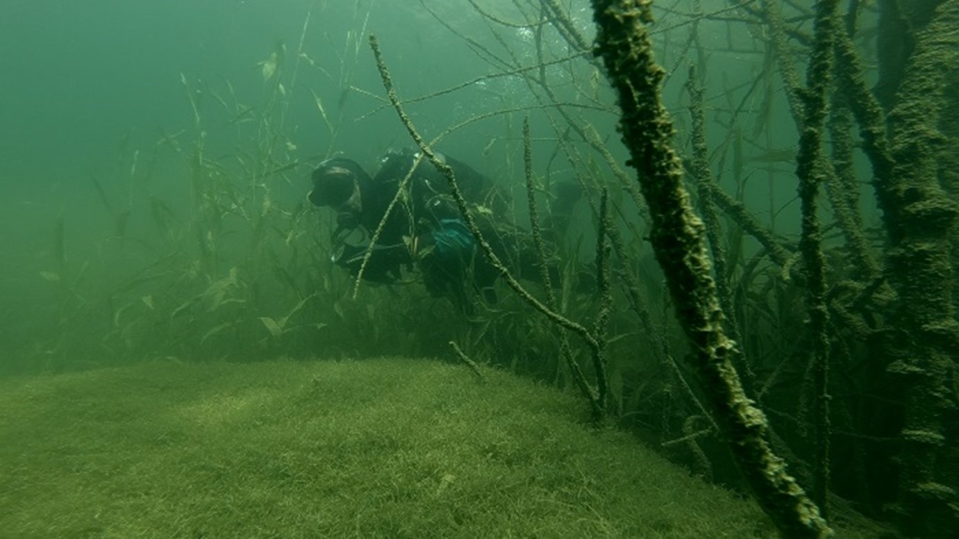 Rgotsko-jezero - europa.rs