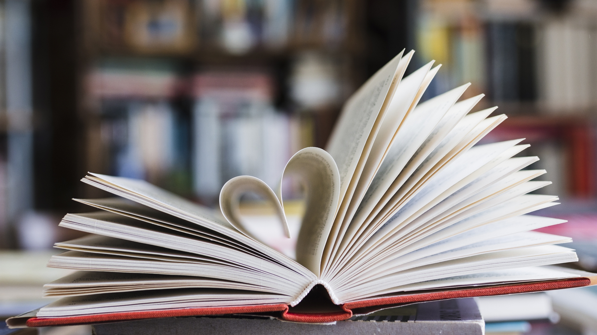 Novogodišnje - Biblioteka