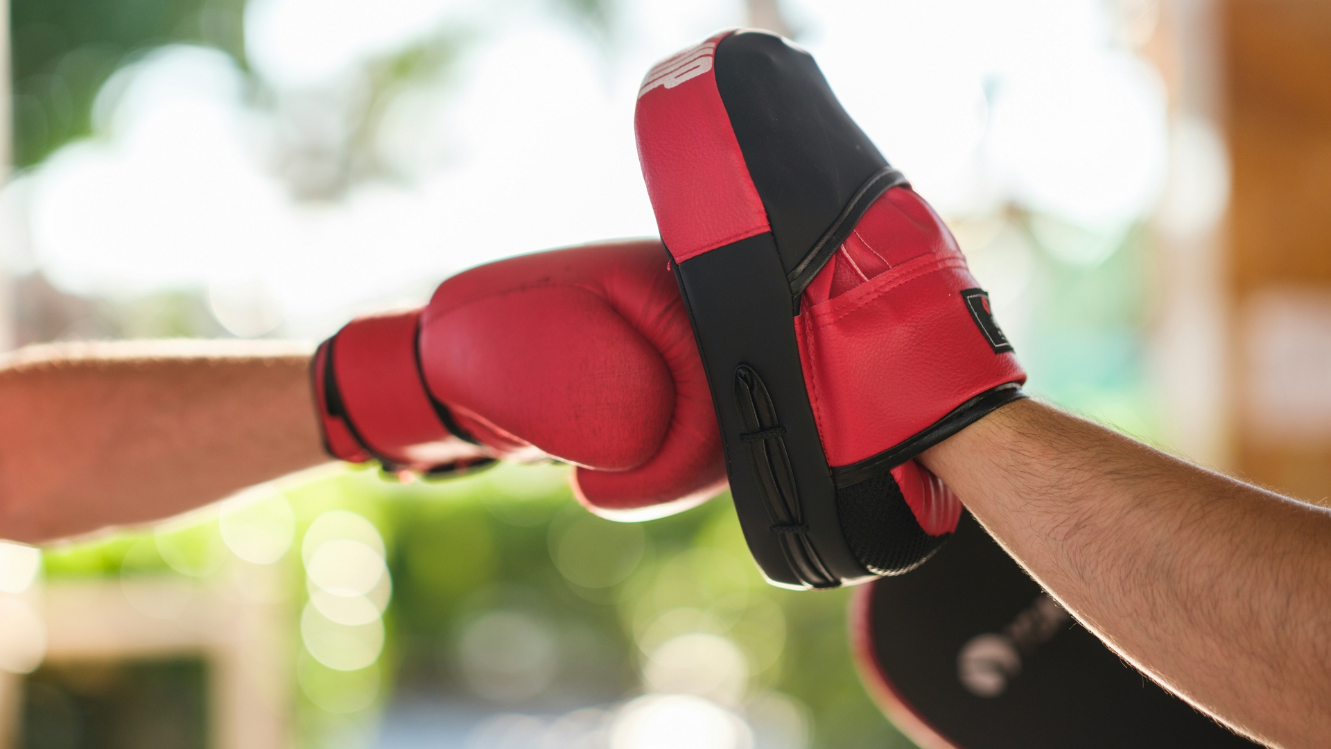 kik boks - 3 medalje u Sarajevo