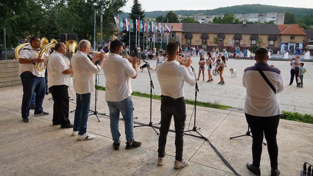 borsko-kulturno-leto1