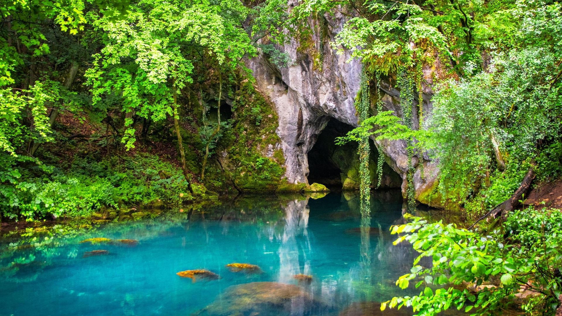 Srbija za mlade